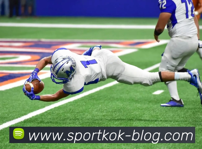 KOK体育APP 高清赛事图